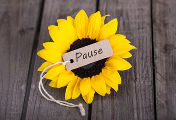 Summertime: Extend Your Growing Season with a Purposeful Pause