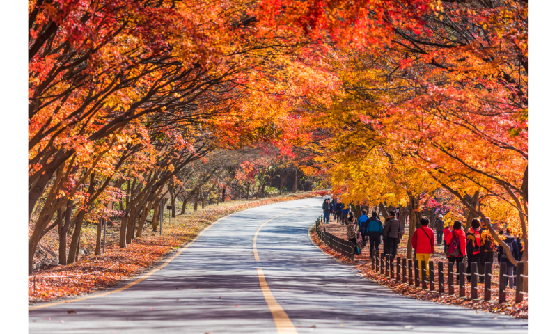 Your 2-Step Guide To Creating A Mindfulness Gratitude Practice